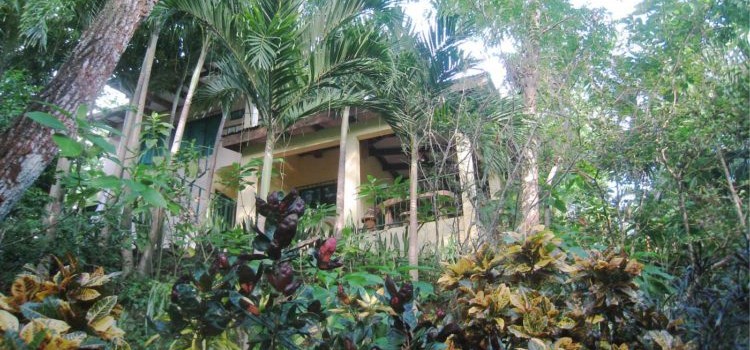 Nosara B & B Retreat Nosara B & B Retreat