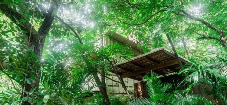 Green Sanctuary Green Sanctuary