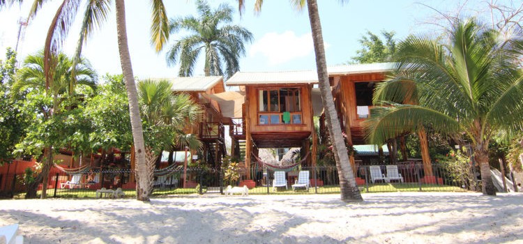 Samara Tree House Inn Samara Tree House Inn