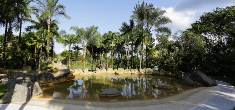 Arenal Paraiso Resort Arenal Paraiso Resort