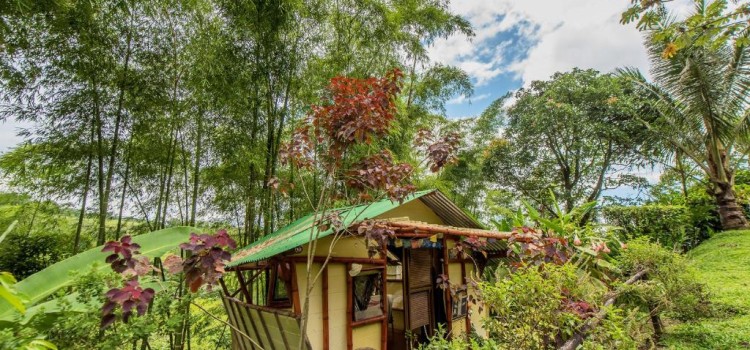 Essence Arenal Essence Arenal