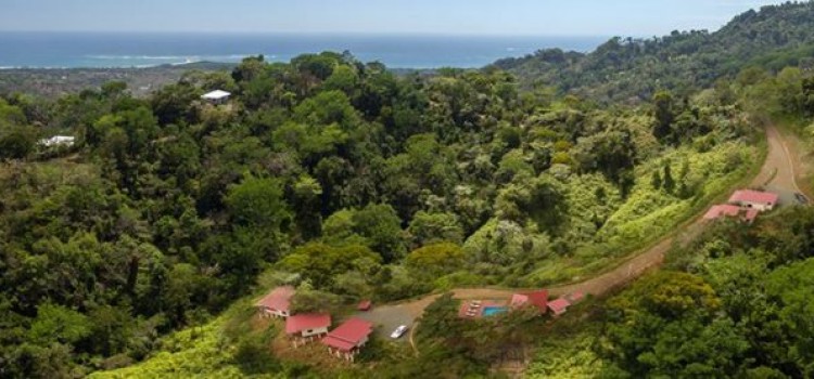 Nature’s Edge Cabinas Nature’s Edge Cabinas