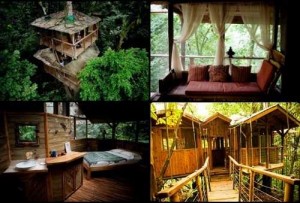 Finca-Bellavista-tree-house