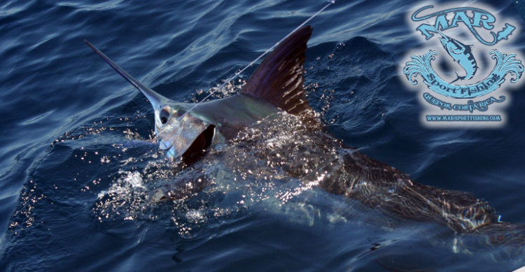 Fishing-Charters-Costa-Rica