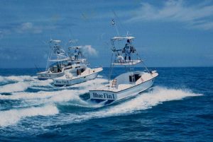 bluefin