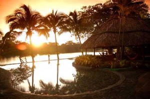 Tortuga Lodge and Gardens: galeria fotos