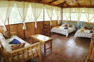 Turtle Beach Lodge: untitled