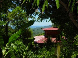 Samasati Nature Retreat: vw sea5 from3