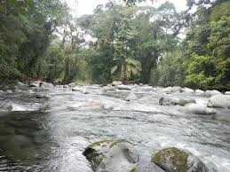 Casa Rio Blanco Ecolodge - Costa Rica