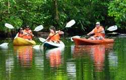 Evergreen Lodge Tortuguero