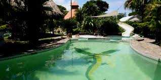 Hotel Flying Crocodile