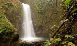 La Paz Waterfall Gardens