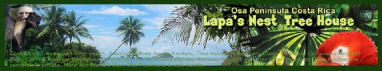 Lapa's Next Tree House