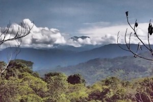 pura tierra mountain view