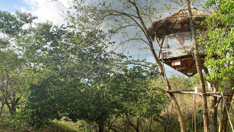 Volunteer in Costa Rica