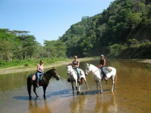 Discovery Horse Riding