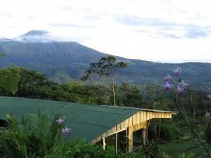 Heliconias Lodge