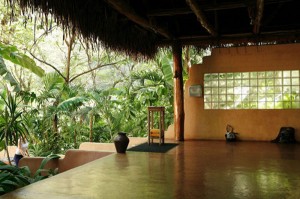 Nosara Yoga Institute