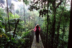 costa-rica-tree-walk