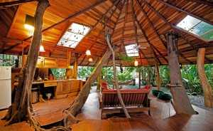 tree house lodge accommodation