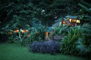 tree house lodge tree houses
