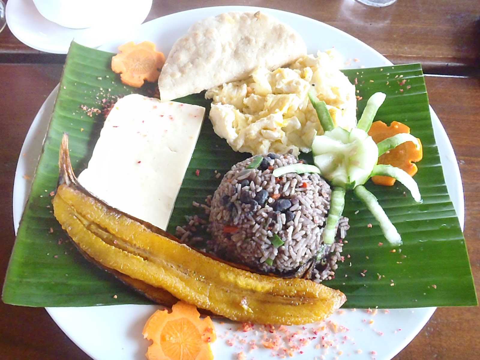 costa rica foods