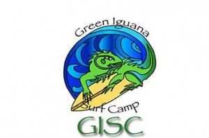 green iguana 3