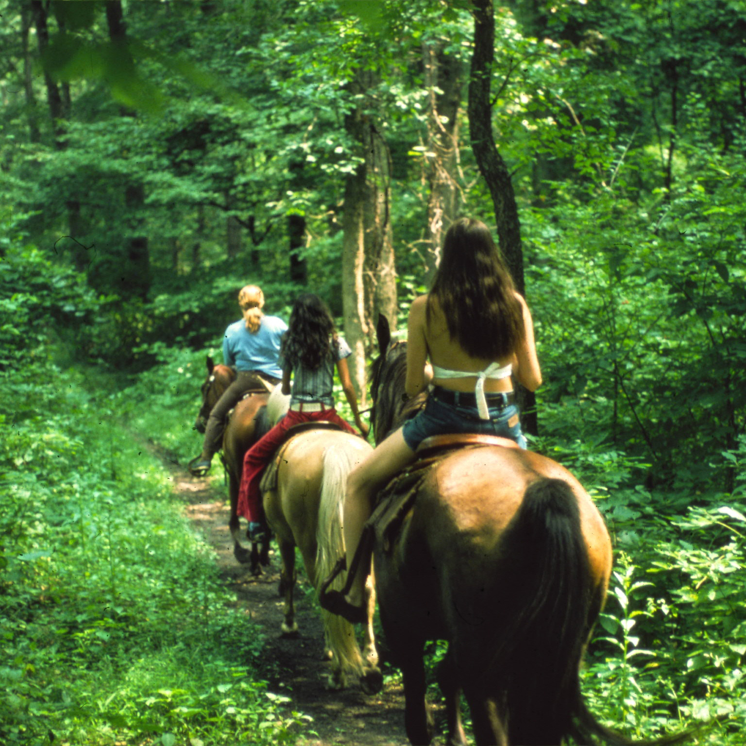 horsebackriding