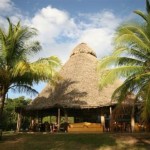 negra hotel