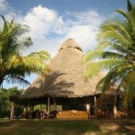 negra hotel
