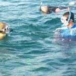 snorkleing nosara