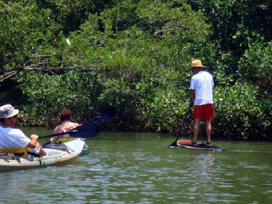 tour-kayak-rio-montana