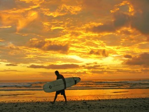 Mal Pais Surf Camp and Resort 3