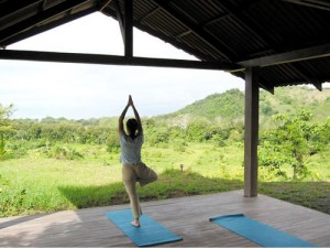 Vista Guapa Surf Camp 3