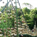 Cocos Island
