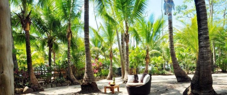 Luz de Vida Beachfront Surf Resort 1