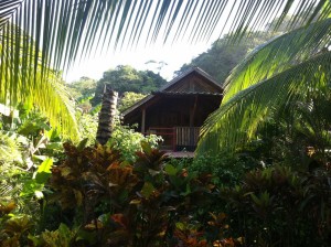 Luz de Vida Beachfront Surf Resort 3