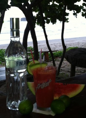 Playa Hermosa Beach Hotel and Surf Camp 2