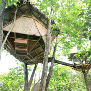 Montezuma Treehouse