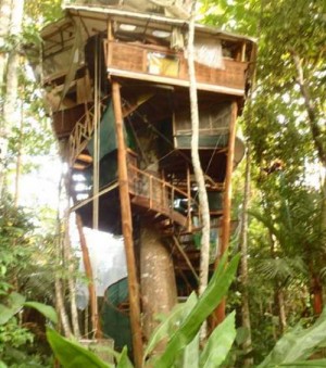 Lapa’s-Nest-Tree-House