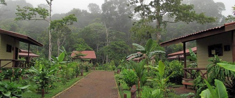Maquenque Eco Lodge