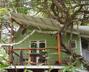 Playa Selva Tree House