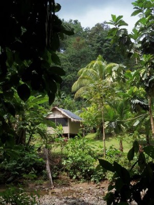Tamandua Biological Station  2