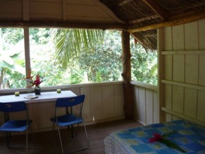 Tamandua Biological Station  3
