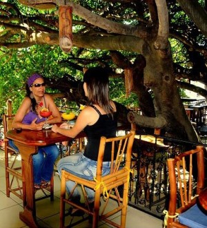 Tree-House-Restaurant