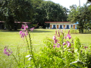 from the dinning room