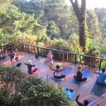 Best Yoga Teacher Training Programs in Costa Rica 3
