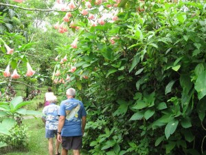 Butterfly Conservatory 3