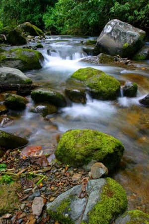 Savegre River rapids costa rica photo tour kathy adams clark