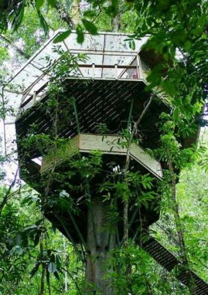finca bellavista costarica